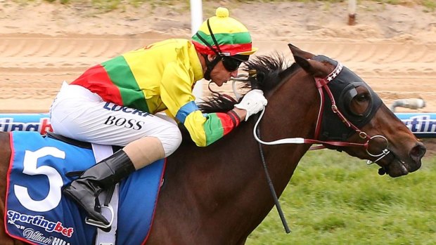Glen Boss rides Lucky Hussler to win the Moonga Stakes during Caulfield Cup Day last year.