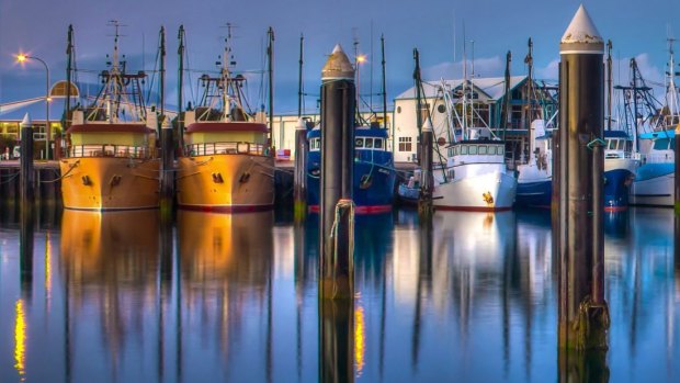 Fishing boats in a marina.