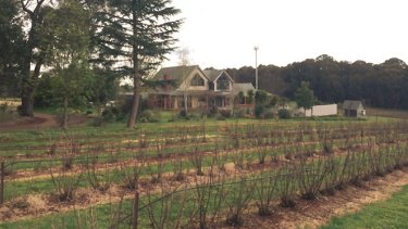 The Tromp family's home, and currant farm in Silvan. 