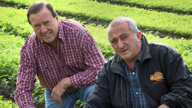 Lobster dinner host Frank Lamattina (right) with Liberal councillor Geoff Ablett at Mr Lamattina's farm.