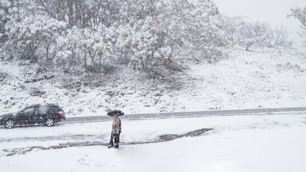 We're 24 days from summer...and it's snowing at Perisher
