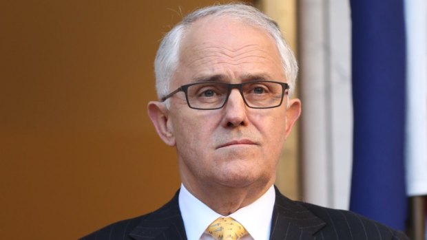 Prime Minister Malcolm Turnbull announced Brian Ross Martin as head of the royal commission into child protection and youth detention in the Northern Territory last Thursday.