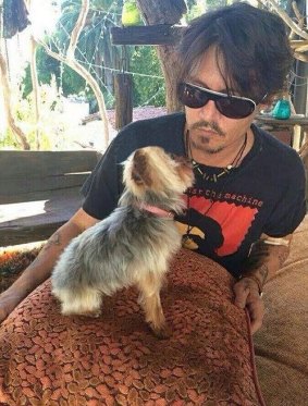 Johnny Depp with one of his dogs, which Agriculture Minister Barnaby Joyce said had to "bugger off" or die.