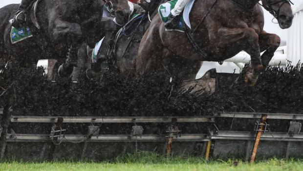 Jumps carnivals are vital to South Australia, says Racing Australia chair Frances Nelson.
