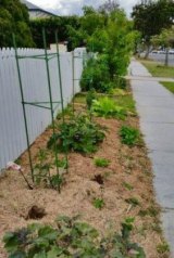 Brisbane residents can now plant gardens to line the footpaths outside their homes under new city guidelines.