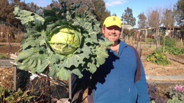 Troy Lloyd with his huge cabbage.