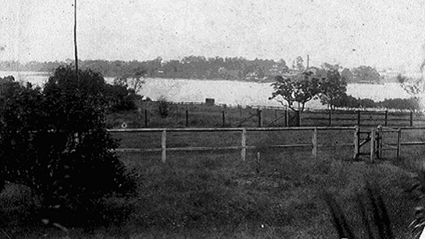A photo of what is believed to be Bennelong's grave, circa 1900.