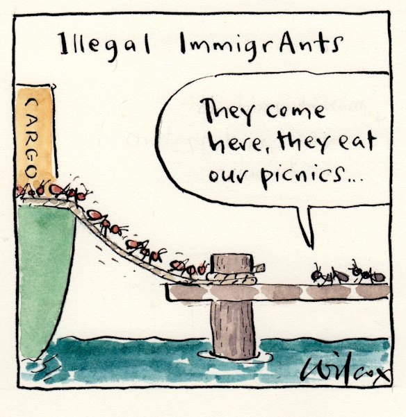 <i>Illustration: Cathy Wilcox</i>