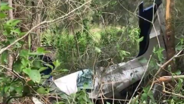 Two people were killed in a light plane crash near Taree on Saturday afternoon.