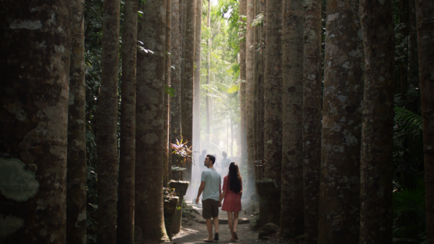 The ad campaign relies heavily on visuals from Queensland's tropical north.