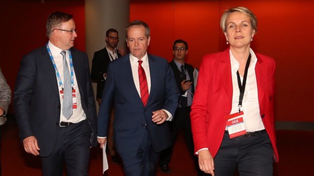 Labor Left figures Anthony Albanese and Tanya Plibersek, pictured flanking party leader Bill Shorten, are believed to have supported the dumping of Kim Carr. 