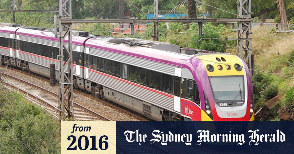 Are Dogs Allowed On Vline Trains