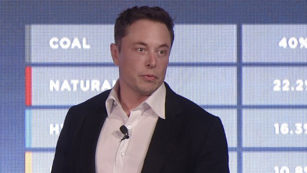 Elon Musk, co-founder and chief executive officer of Tesla.