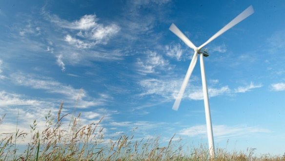 Wind farms are a form of renewable energy and the green economy.