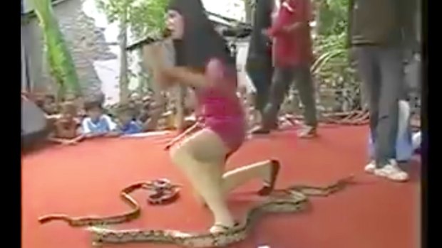 Indonesian singer Irma Bule has died after being bitten on stage by a King Cobra snake.