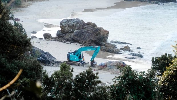 The dead whale being buried on Nobbys Beach, Port Macquarie. 