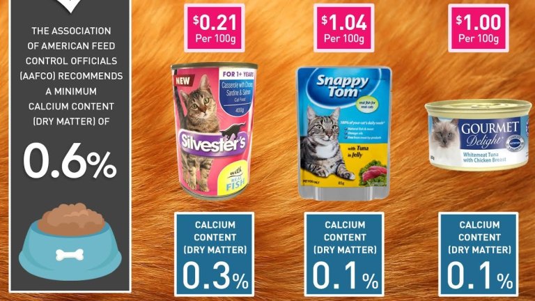 aldi cat food price