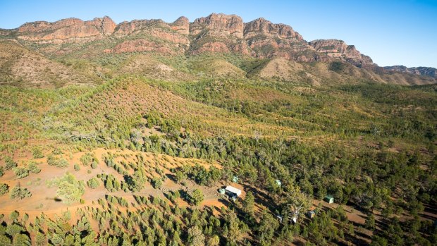 Scrubby Flinders Ranges.