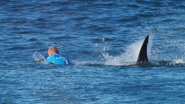 Moment of terror: Mick Fanning at Jeffrey's Bay.