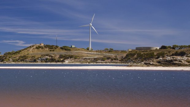 The "offending" wind turbine on Rottnest Island.