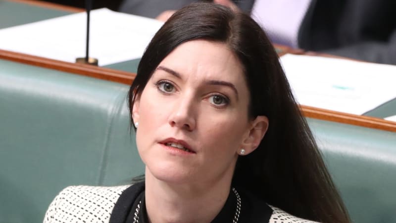 Lib MP Nicolle Flint growls at BEAR, calls it bank bashing