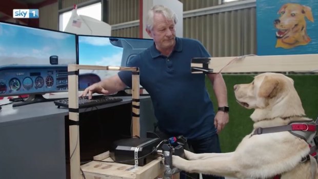 Mark Vette instructs his dog Reggie in a flight simulator.
