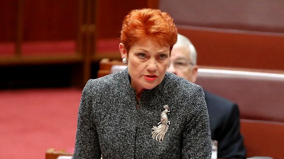 Pauline Hanson's new constituency: online gamers