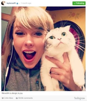 Taylor Swift - and her cats - are the most followed and popular Instagram stars of 2015 with a total of 3 pictures in the top 10 most liked list