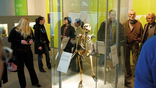 Neanderthal Museum.