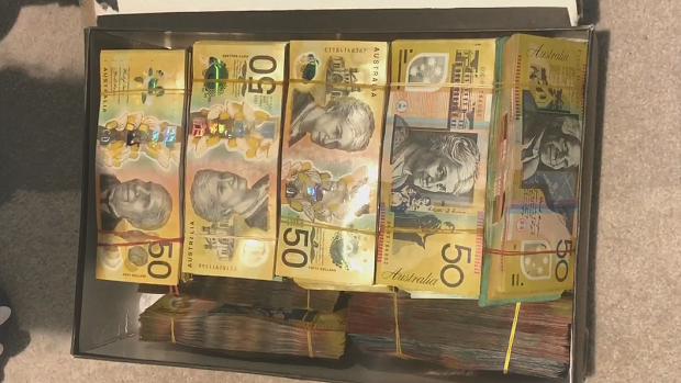 Over $300,000 in cash was discovered in the apartment.