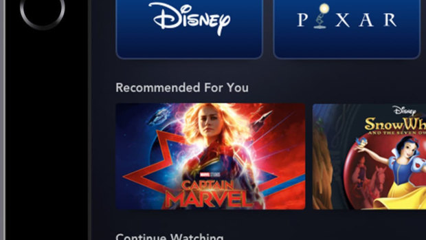 Disney's streaming service is due to launch later this year.