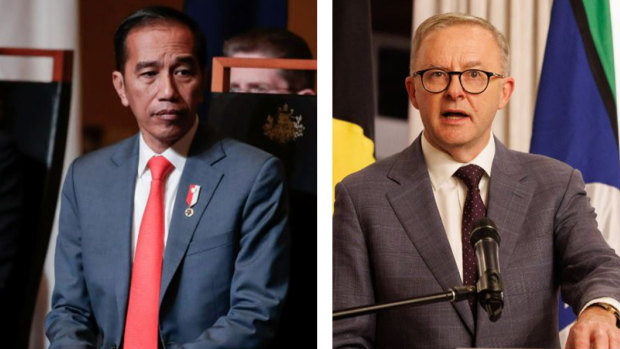 Joko Widodo and Anthony Albanese will meet in Jakarta this week.