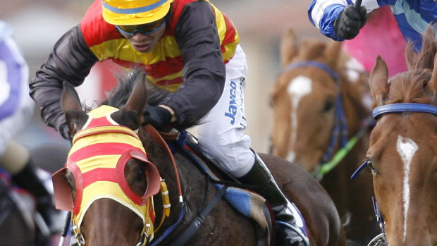 Eight-race card: Racing is back in Port Macquarie on Friday.