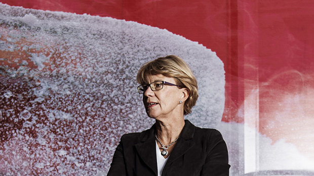 Coca Cola Australia CEO Alison Watkins said CEOs had campaigned on the importance of corporate tax cuts.