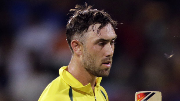 Chance goes begging: Glenn Maxwell was overlooked for Australia's Test series against Pakistan in the UAE.