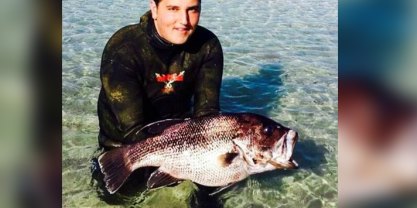 Jay Muscat died after being bitten by a shark while spearfishing in 2014. 