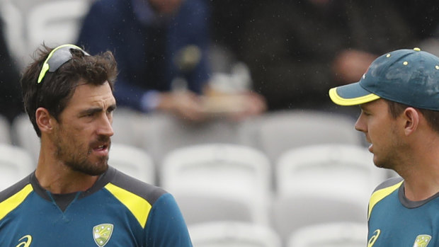 Mitchell Starc has fallen out of favour during the Ashes series.