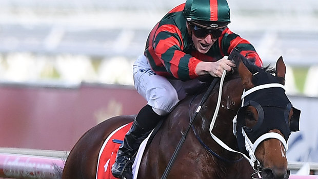 Bright future: a three-quarter brother to spring star The Autumn Sun will go under the hammer at Easter.