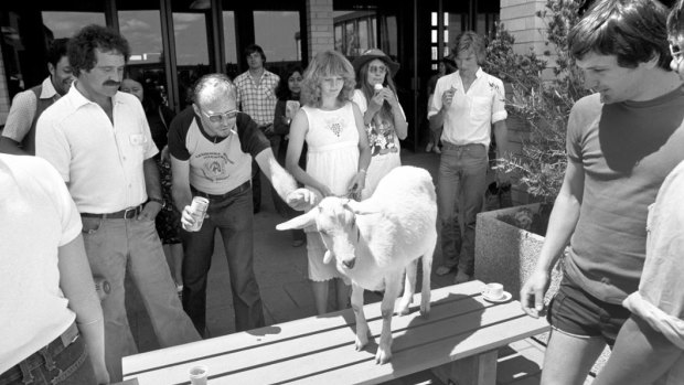 In 1980, college pranksters also brought a goat on campus.