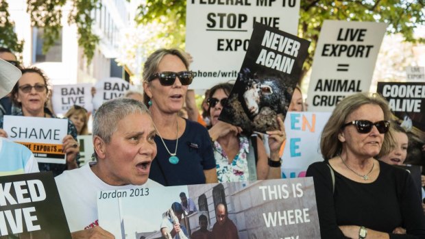 The death of 2400 sheep on a live export ship sparked protests.