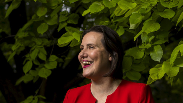 Kelly O'Dwyer is facing a battle to retain her seat of Higgins in Melbourne's inner south-east.