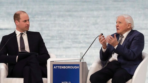 "If we damage the natural world, we damage ourselves": Sir David Attenborough, here in conversation with Prince William, was the superstar of last month's Davos summit.