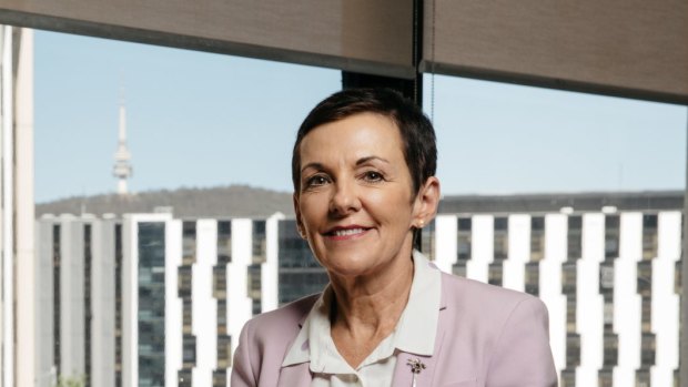 Australian Small Business and Family Enterprise Ombudsman Kate Carnell. 