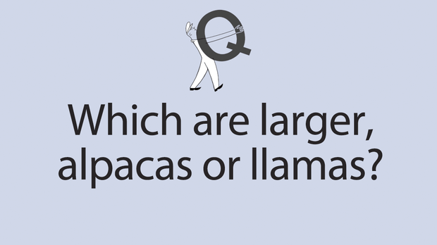 Sample questions for Good Weekend quiz for April 18