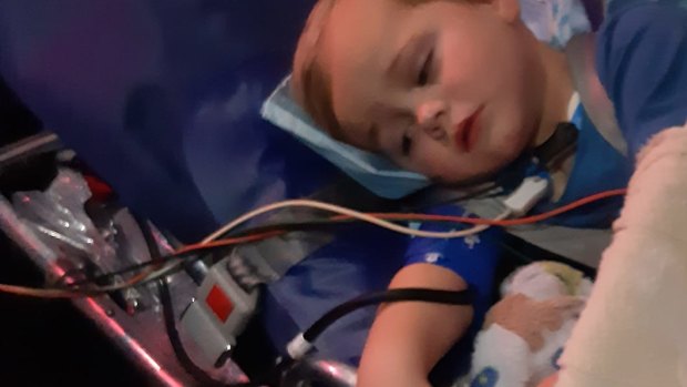 Toddler lucky to be alive after deadly snake bite east of Perth