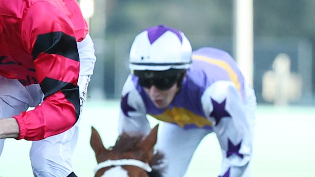 Bear On The Loose (inside) racing at Randwick in May.