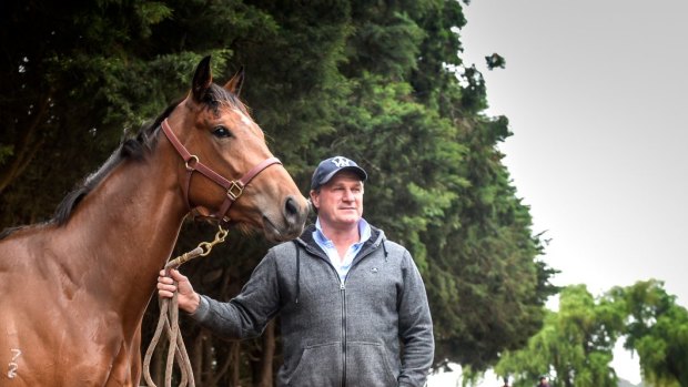 Darren Weir opens up property for bushfire-affected horses