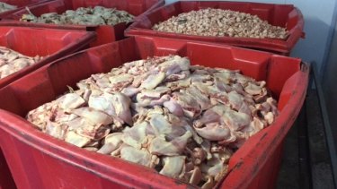 Chicken that was intended for sale at Bill's Chicken in Moorebank, in rusty and corroded bins.