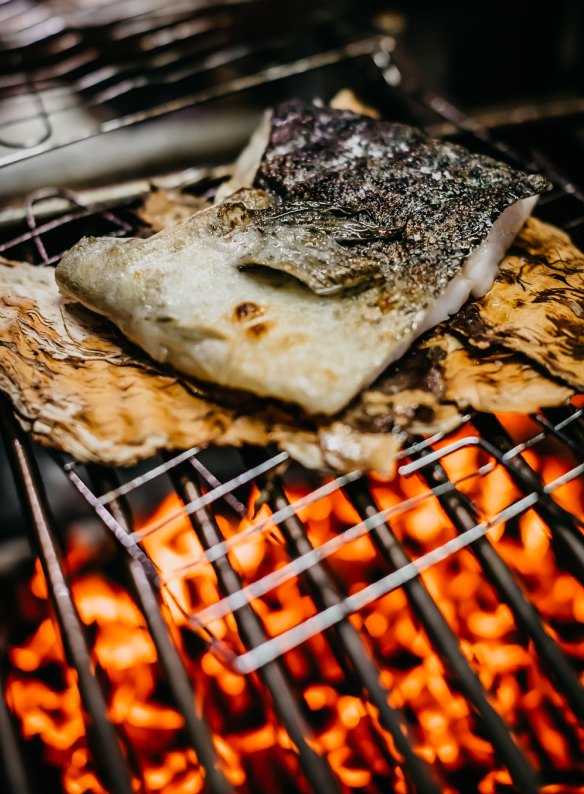 Murray cod grilled in paperbark at Firedoor.