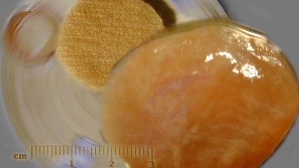 In-vitro meat unlikely to become reliable food source